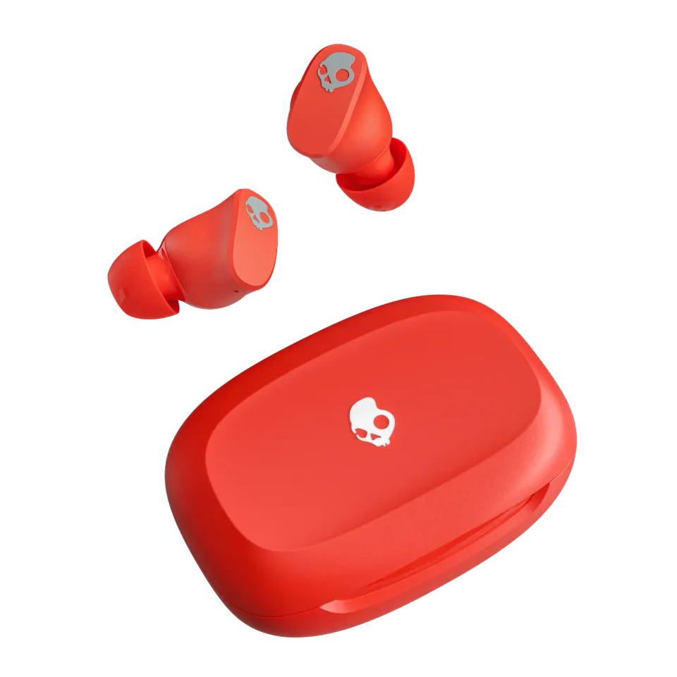 Skullcandy Smokin' Buds 360 écouteurs Bone multipoint