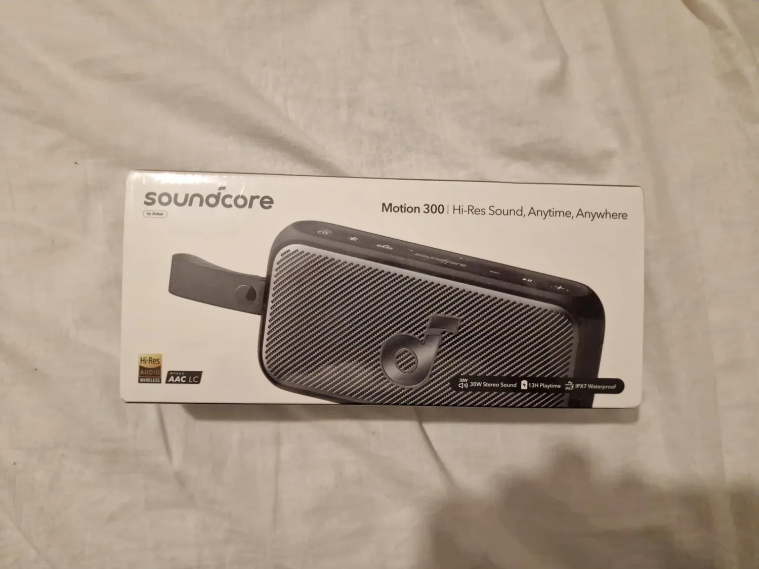 Soundcore Motion 300 enceinte bluetooth noir 30W IPX7